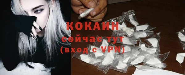 прущий лед Заводоуковск