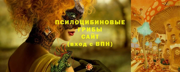 spice Заволжск